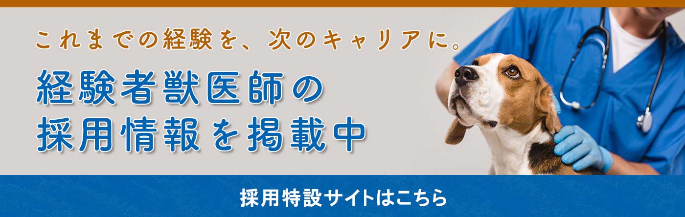 獣医師求人バナー